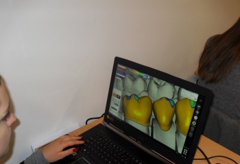 Dziewczyna pracująca na komputerze