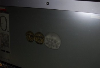 Komputer z włączonym specjalistycznym oprogramowaniem