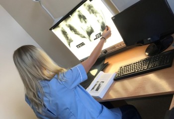 Uczennica podczas stażu